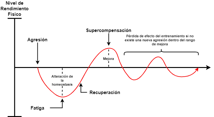 Principio de Supercompensación